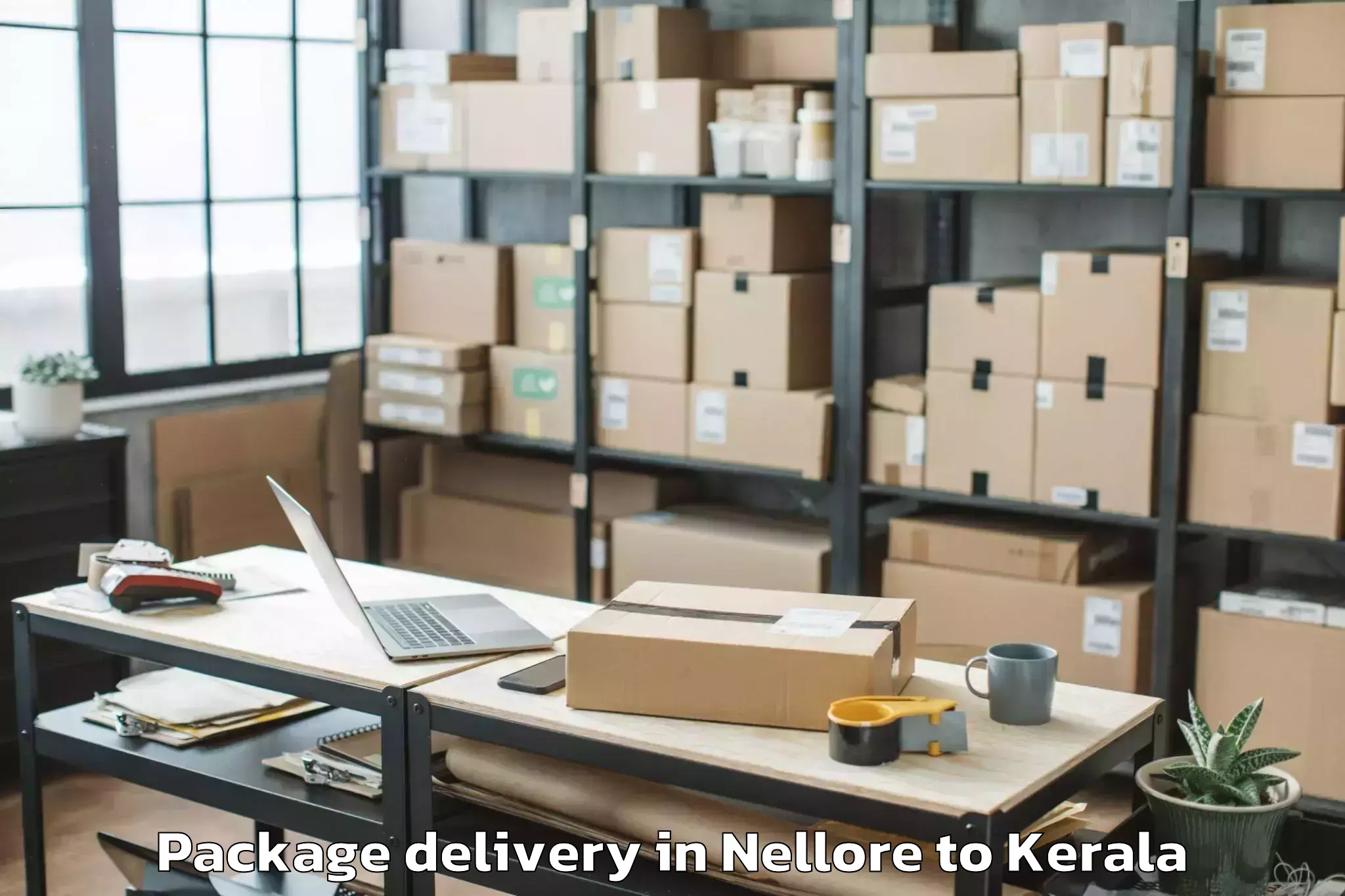 Trusted Nellore to Central University Of Kerala K Package Delivery